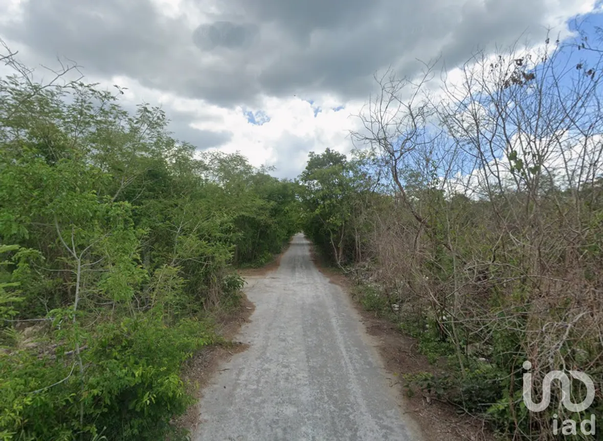 Terreno en Venta en San Ignacio, Progreso, Yucatán | NEX-295861 | iad México | Foto 2 de 9