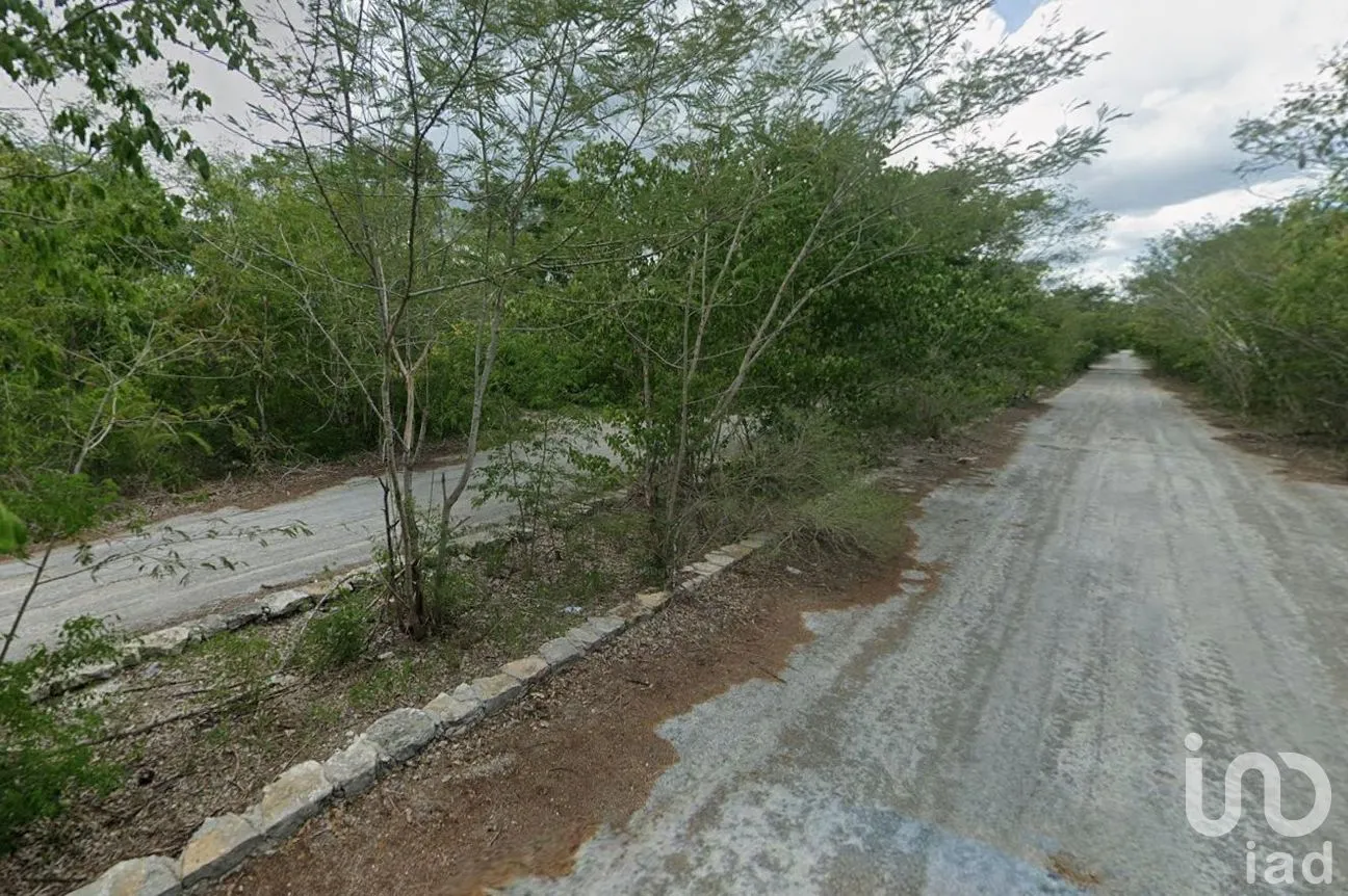 Terreno en Venta en San Ignacio, Progreso, Yucatán | NEX-295861 | iad México | Foto 4 de 9