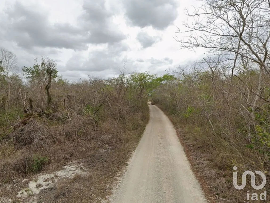 Terreno en Venta en San Ignacio, Progreso, Yucatán | NEX-295861 | iad México | Foto 5 de 9
