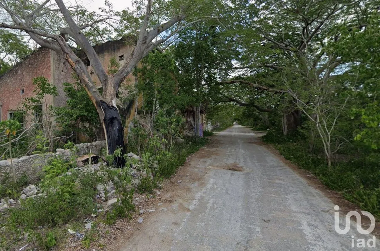 Terreno en Venta en San Ignacio, Progreso, Yucatán | NEX-295861 | iad México | Foto 6 de 9