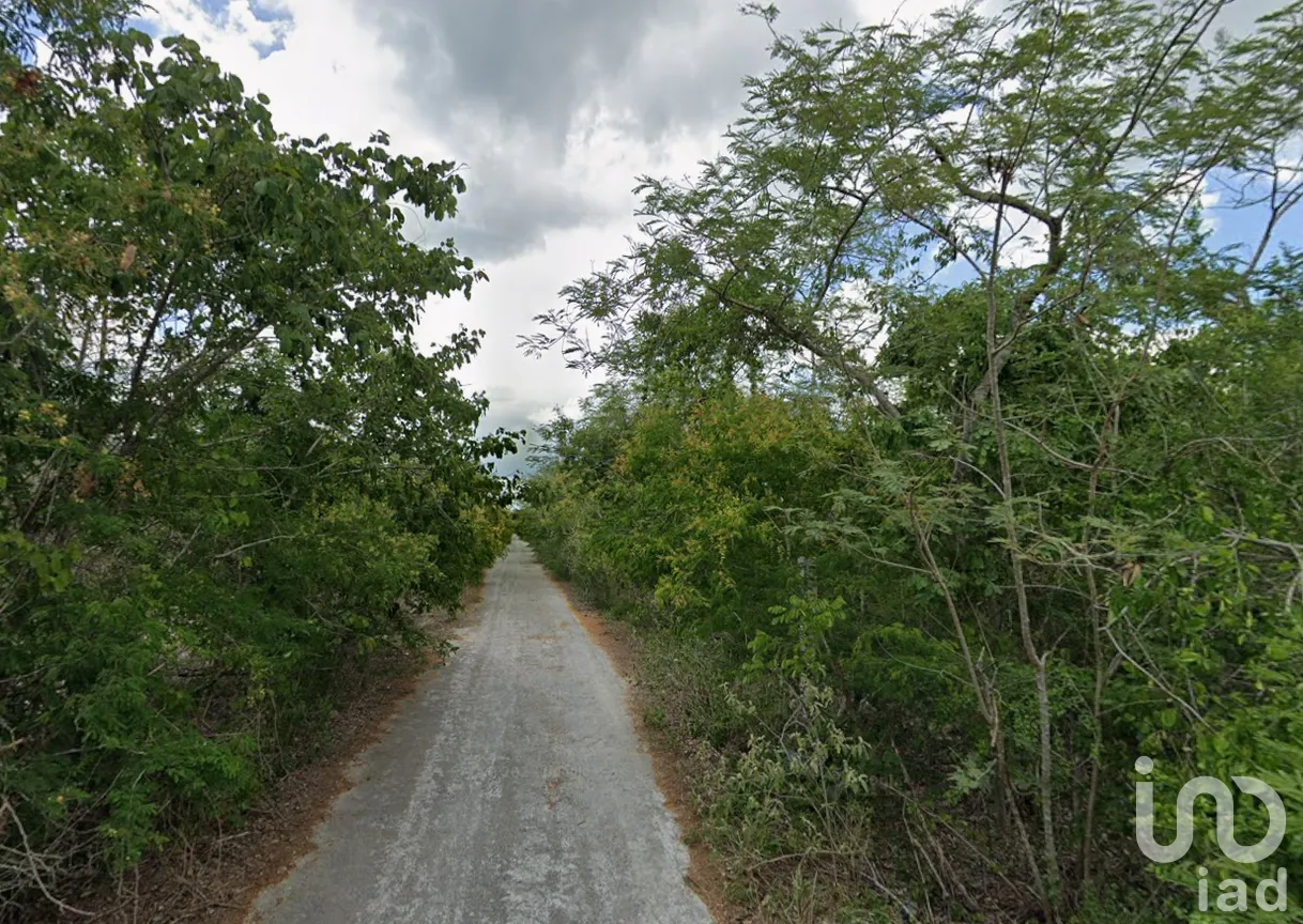Terreno en Venta en San Ignacio, Progreso, Yucatán | NEX-295861 | iad México | Foto 7 de 9