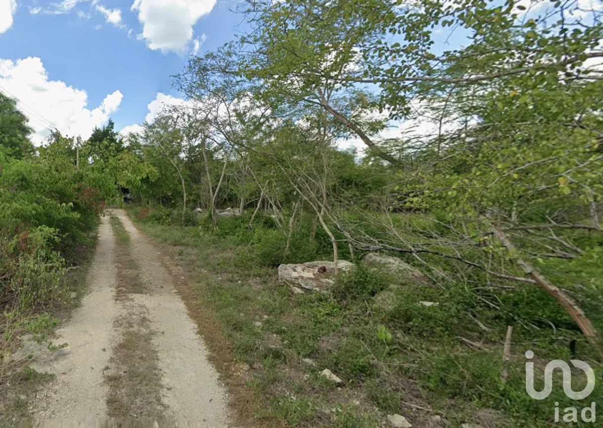 Terreno en Venta en San Ignacio, Progreso, Yucatán | NEX-295861 | iad México | Foto 1 de 9