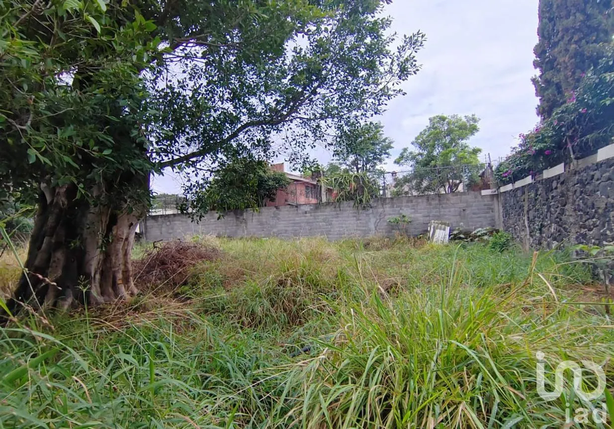 Terreno en Venta en Vista Hermosa, Cuernavaca, Morelos | NEX-301879 | iad México | Foto 11 de 12