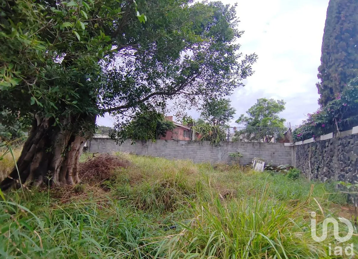 Terreno en Venta en Vista Hermosa, Cuernavaca, Morelos | NEX-301879 | iad México | Foto 6 de 12