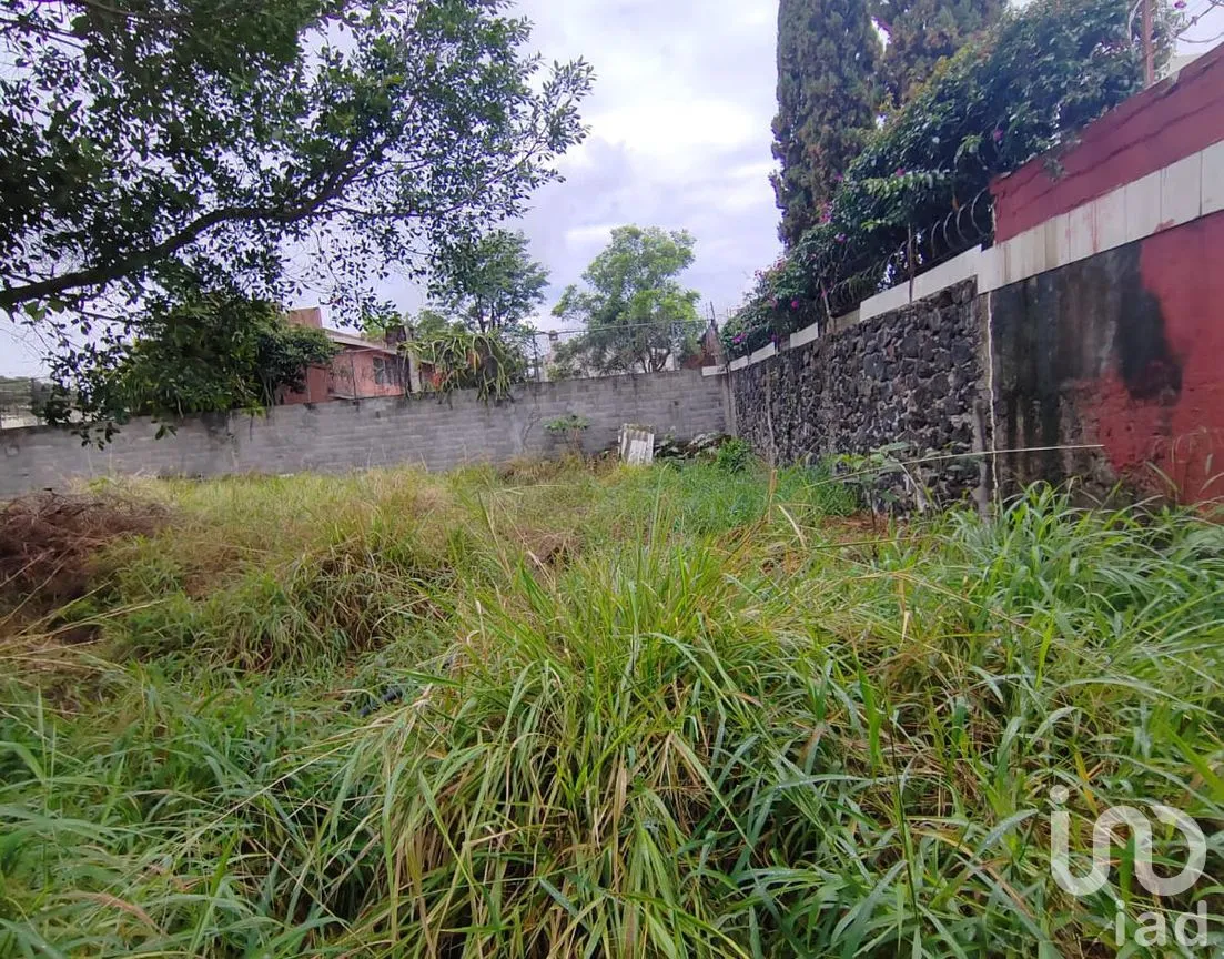 Terreno en Venta en Vista Hermosa, Cuernavaca, Morelos | NEX-301879 | iad México | Foto 7 de 12