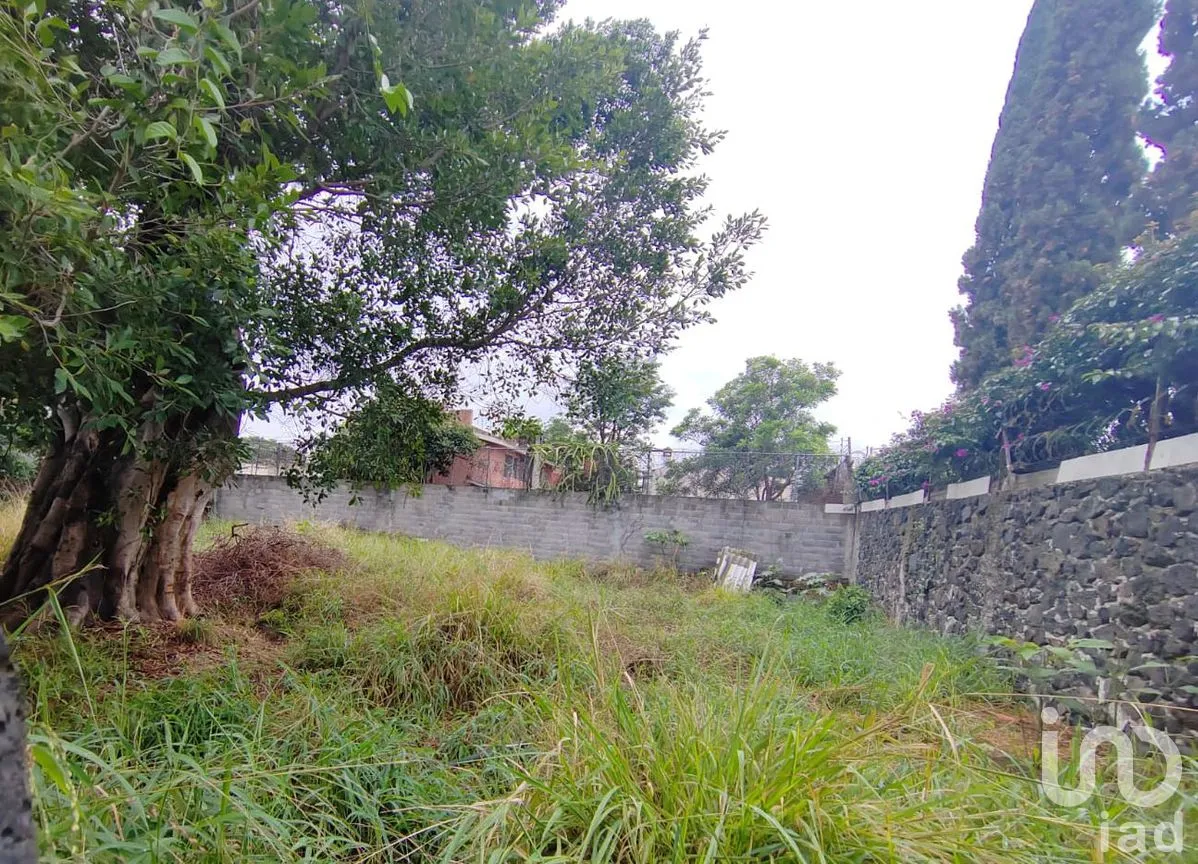 Terreno en Venta en Vista Hermosa, Cuernavaca, Morelos | NEX-301879 | iad México | Foto 8 de 12
