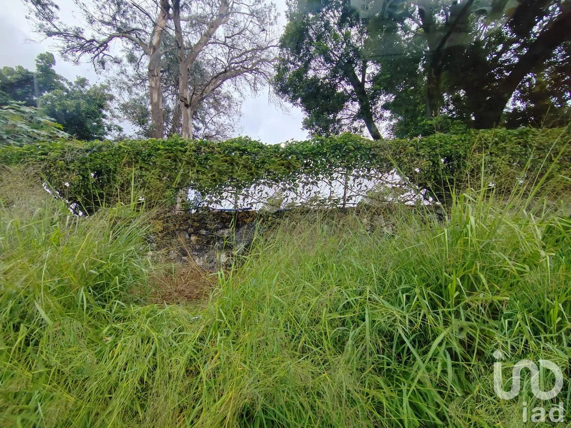 Terreno en Venta en Vista Hermosa, Cuernavaca, Morelos | NEX-301879 | iad México | Foto 10 de 12