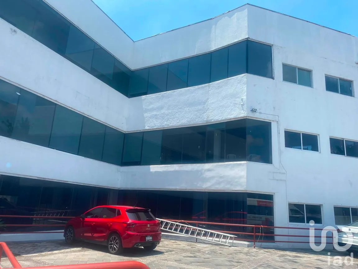 Oficina en Renta en Miraval, Cuernavaca, Morelos | NEX-305445 | iad México | Foto 4 de 13