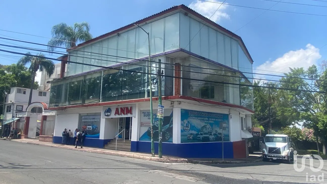 Oficina en Renta en Miraval, Cuernavaca, Morelos | NEX-305445 | iad México | Foto 5 de 13