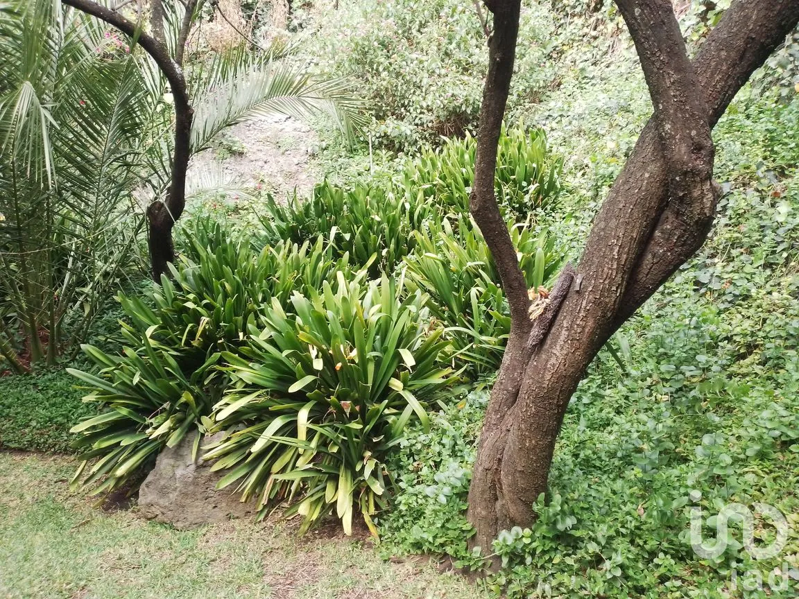 Casa en Renta en Bosques de la Herradura, Huixquilucan, México | NEX-245987 | iad México | Foto 17 de 41