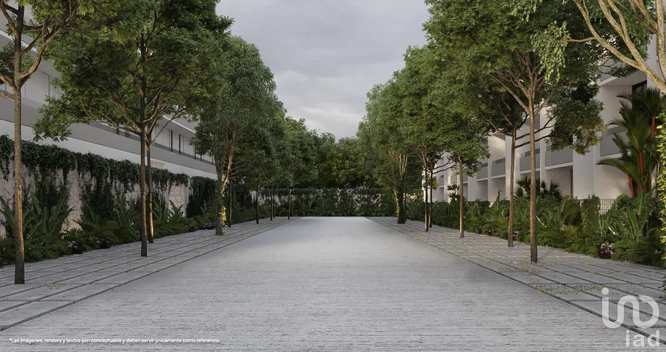 Local en Venta en Real Montejo, Mérida, Yucatán | NEX-237771 | iad México | Foto 6 de 14