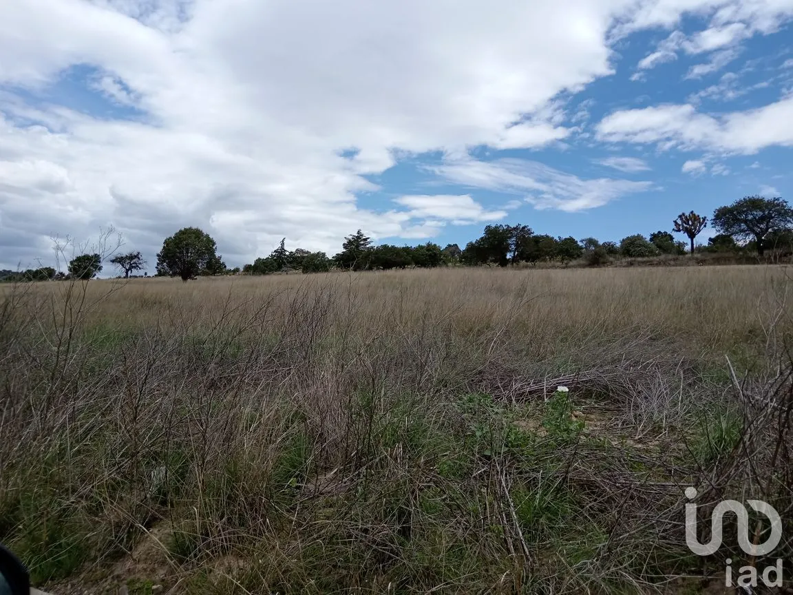 Terreno en Venta en Pocitos, Atltzayanca, Tlaxcala | NEX-240819 | iad México | Foto 2 de 6