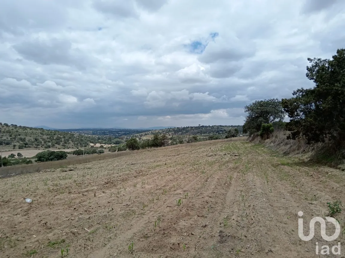 Terreno en Venta en Pocitos, Atltzayanca, Tlaxcala | NEX-240819 | iad México | Foto 3 de 6