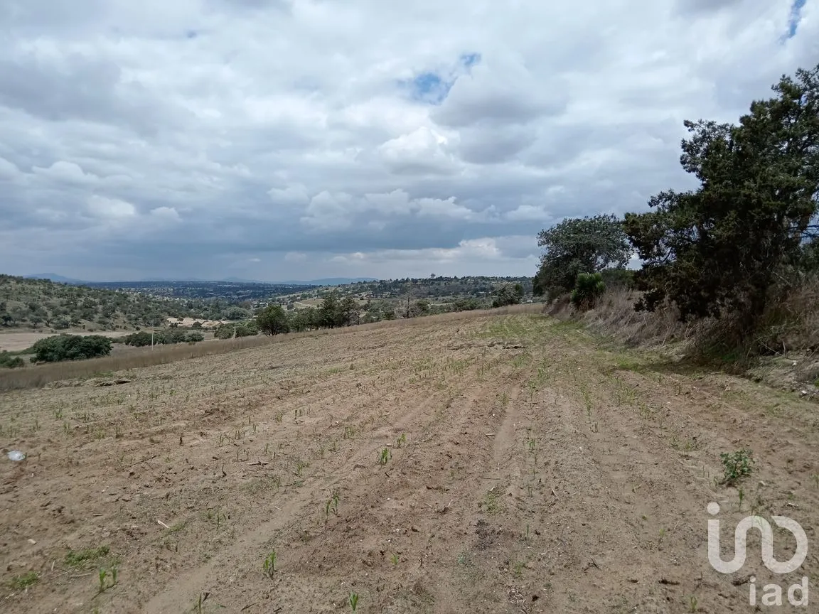 Terreno en Venta en Pocitos, Atltzayanca, Tlaxcala | NEX-240819 | iad México | Foto 4 de 6