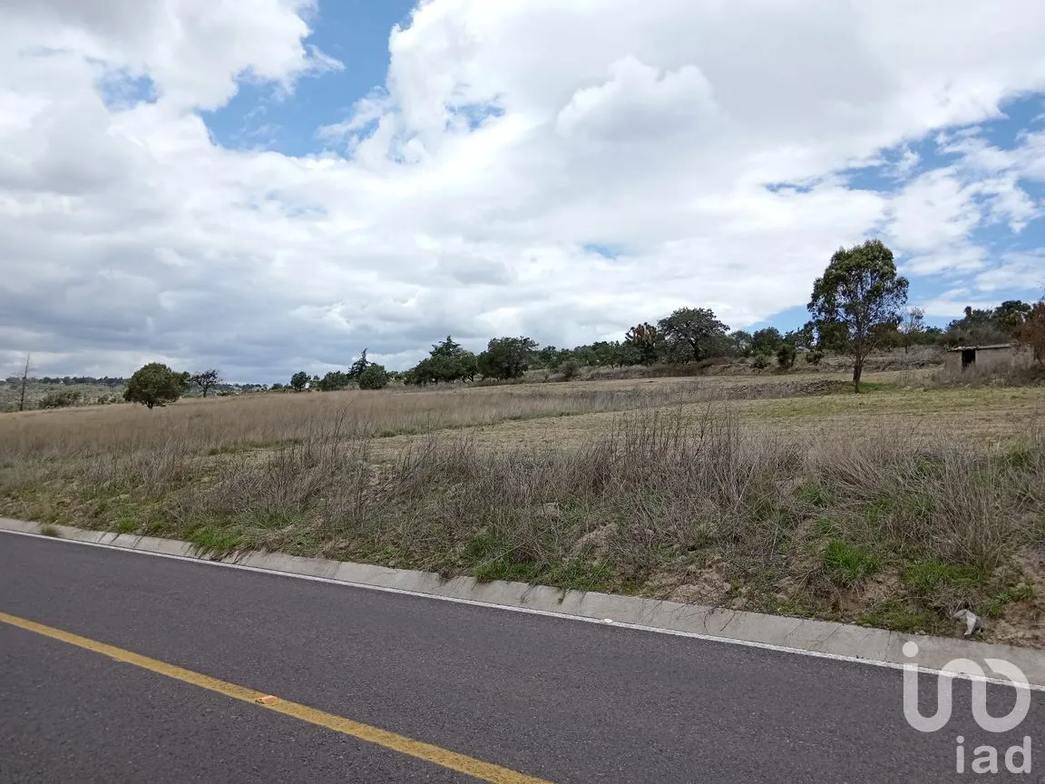 Terreno en Venta en Pocitos, Atltzayanca, Tlaxcala | NEX-240819 | iad México | Foto 5 de 6