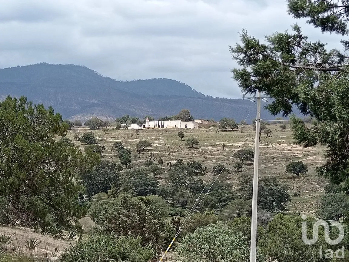 Terreno en Venta en Pocitos, Atltzayanca, Tlaxcala | NEX-240819 | iad México | Foto 6 de 6
