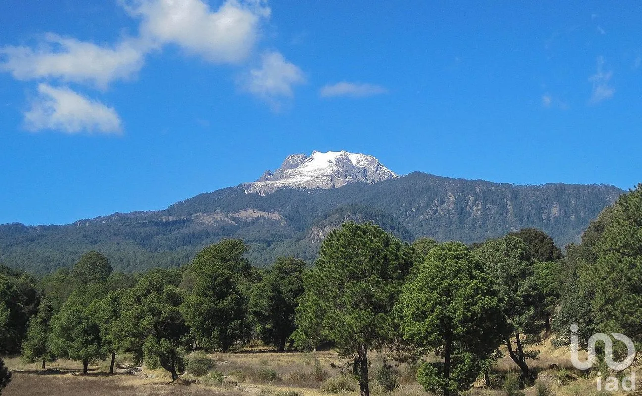 Terreno en Venta en Pocitos, Atltzayanca, Tlaxcala | NEX-240819 | iad México | Foto 1 de 6
