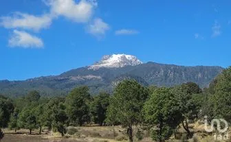 NEX-240819 - Terreno en Venta en Pocitos, CP 90558, Tlaxcala.