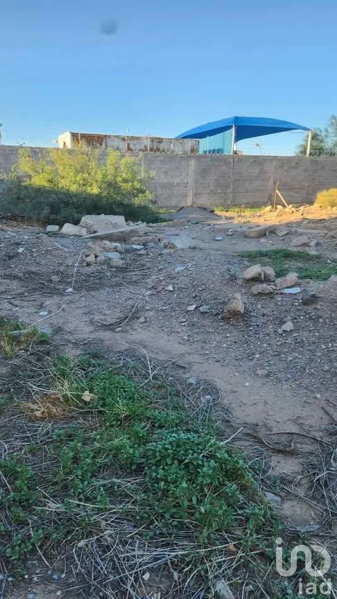 Terreno en Venta en Partido Senecu, Juárez, Chihuahua | NEX-247409 | iad México | Foto 2 de 13
