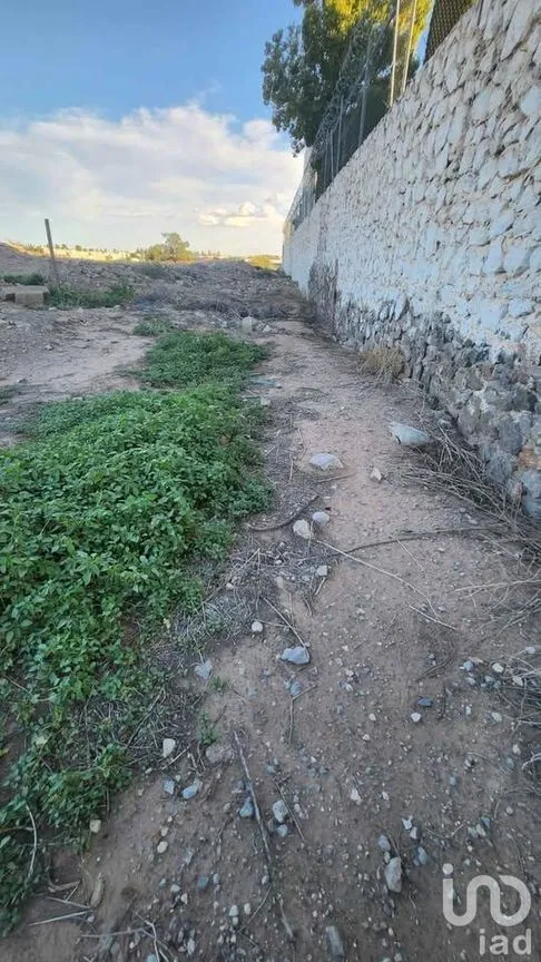 Terreno en Venta en Partido Senecu, Juárez, Chihuahua | NEX-247409 | iad México | Foto 3 de 13