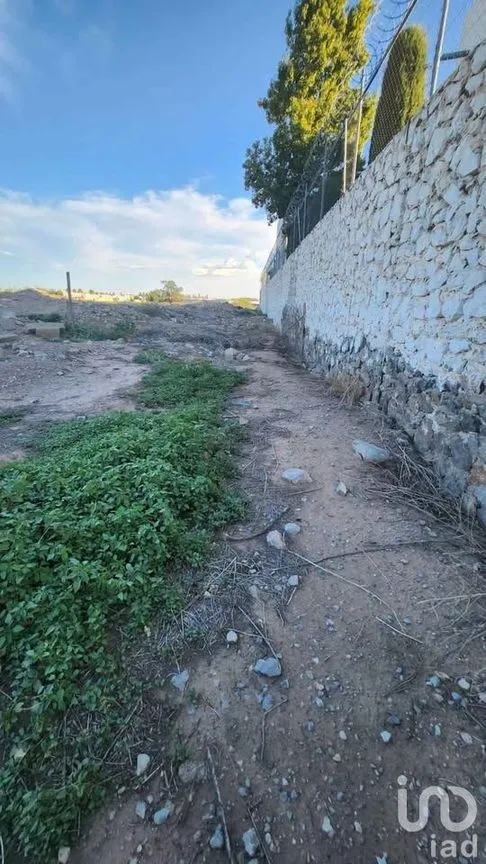 Terreno en Venta en Partido Senecu, Juárez, Chihuahua | NEX-247409 | iad México | Foto 8 de 13
