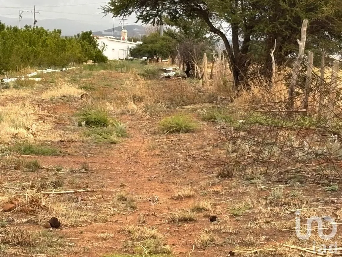 Terreno en Venta en Cieneguillas, Zacatecas, Zacatecas | NEX-253036 | iad México | Foto 11 de 13