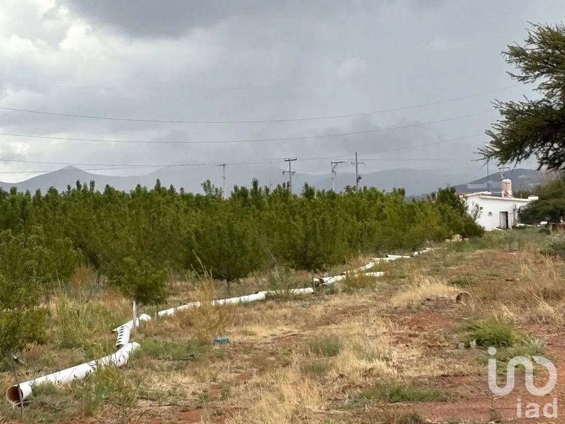 Terreno en Venta en Cieneguillas, Zacatecas, Zacatecas | NEX-253036 | iad México | Foto 13 de 13