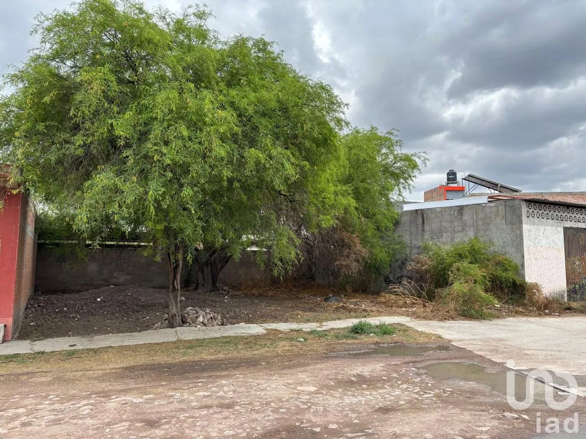 Terreno en Venta en Los Sauces, Jerez, Zacatecas | NEX-294237 | iad México | Foto 6 de 9
