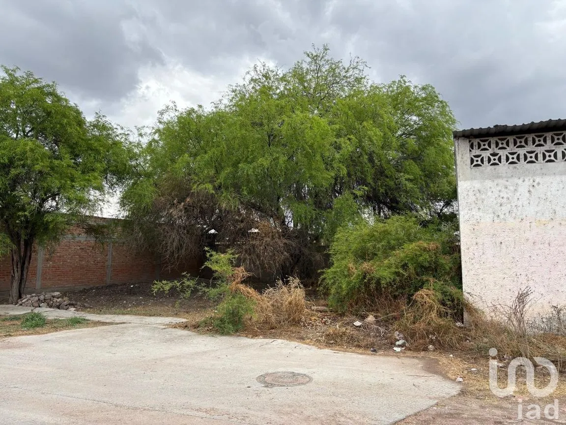 Terreno en Venta en Los Sauces, Jerez, Zacatecas | NEX-294237 | iad México | Foto 7 de 9