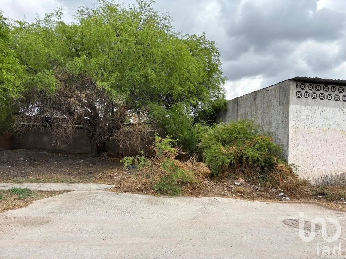 Terreno en Venta en Los Sauces, Jerez, Zacatecas | NEX-294237 | iad México | Foto 8 de 9