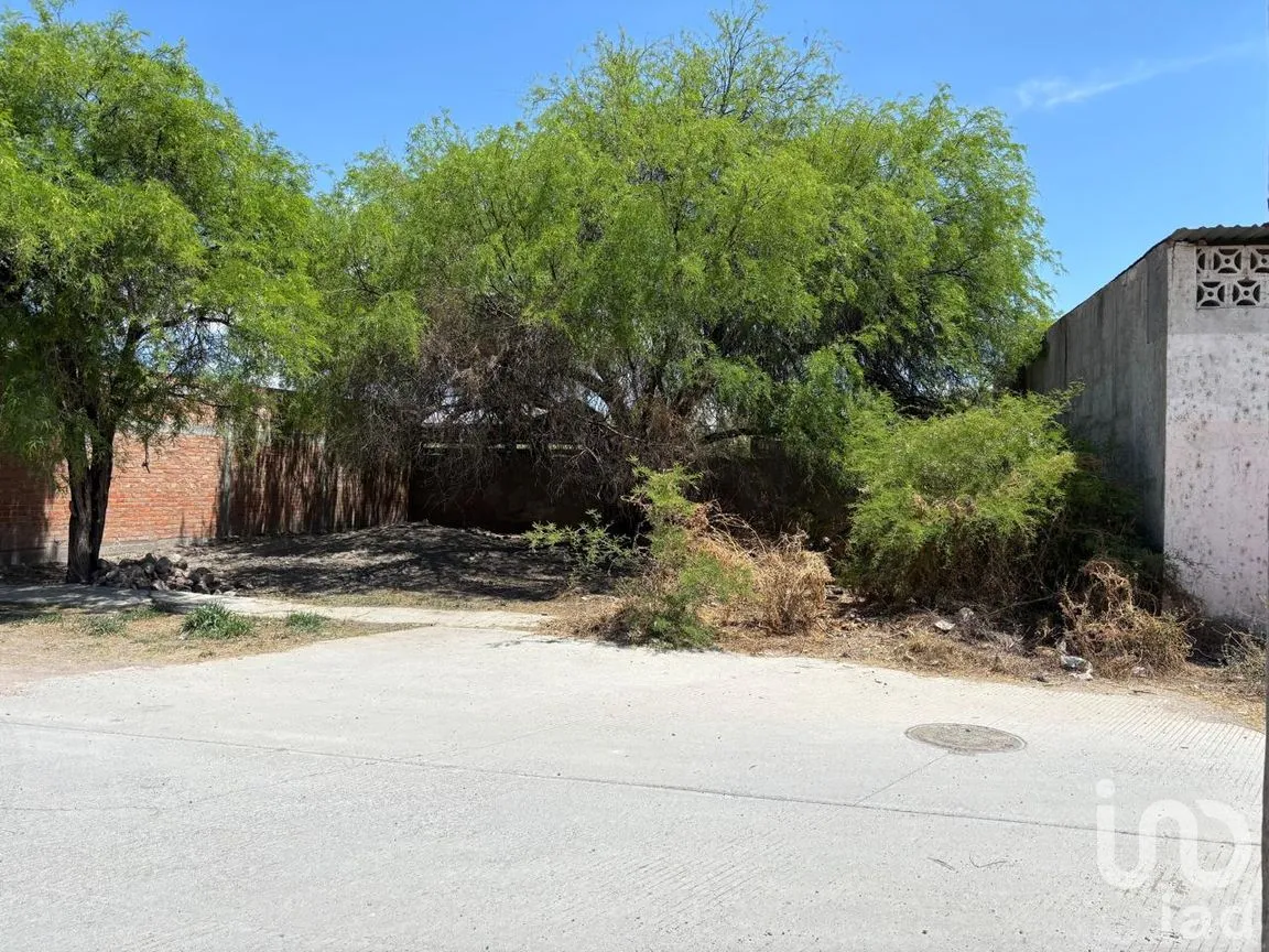 Terreno en Venta en Los Sauces, Jerez, Zacatecas | NEX-294237 | iad México | Foto 1 de 9