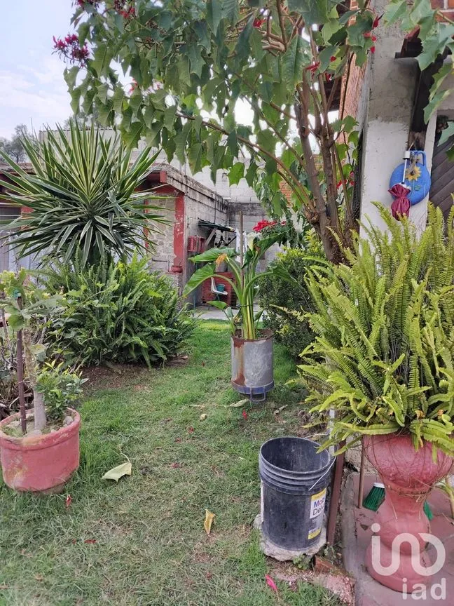 Casa en Venta en San Lorenzo Almecatla, Cuautlancingo, Puebla | NEX-238844 | iad México | Foto 2 de 8