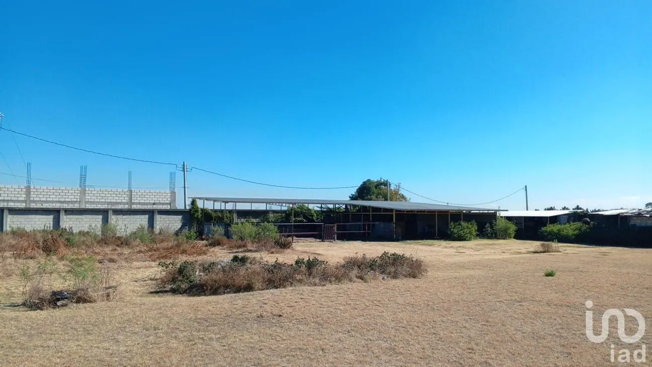 Terreno en Venta en San Bernabe Temoxtitla, Ocoyucan, Puebla | NEX-239059 | iad México | Foto 2 de 11