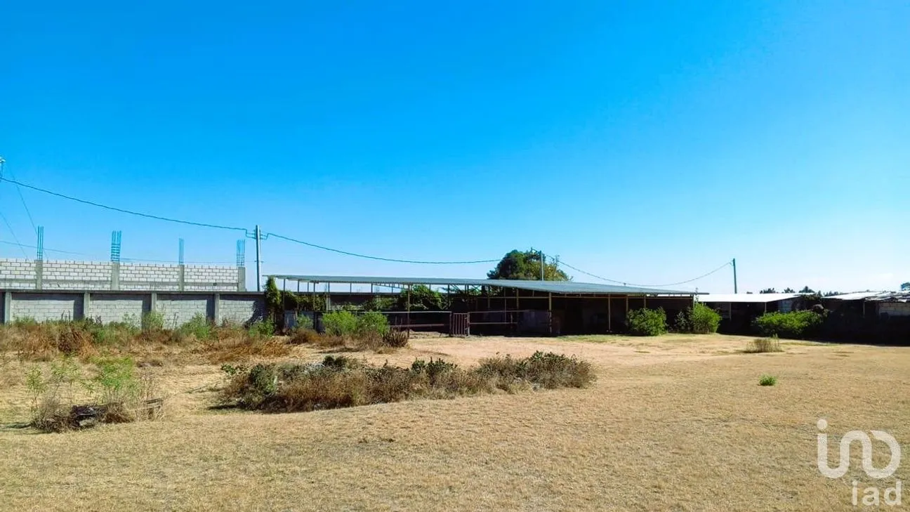 Terreno en Venta en San Bernabe Temoxtitla, Ocoyucan, Puebla | NEX-239059 | iad México | Foto 6 de 11