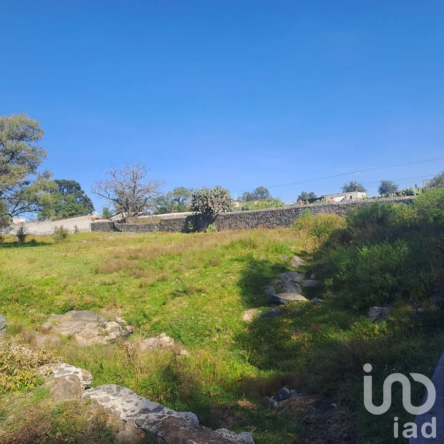 Terreno en Venta en El Xhitey, Jilotepec, México | NEX-241194 | iad México | Foto 2 de 14