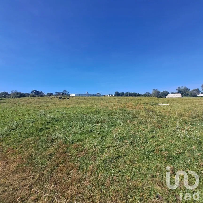 Terreno en Venta en El Xhitey, Jilotepec, México | NEX-241194 | iad México | Foto 14 de 14