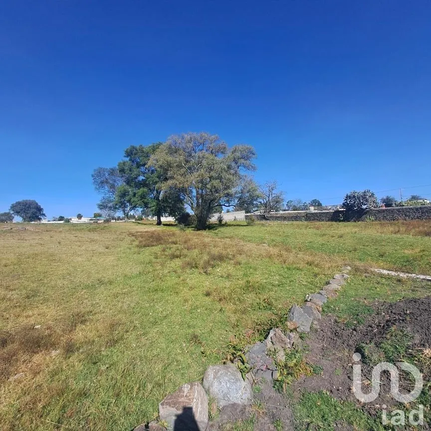 Terreno en Venta en El Xhitey, Jilotepec, México | NEX-241194 | iad México | Foto 3 de 14