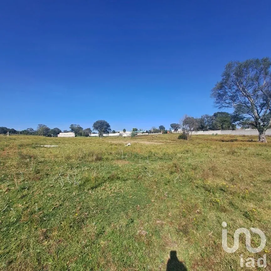 Terreno en Venta en El Xhitey, Jilotepec, México | NEX-241194 | iad México | Foto 4 de 14