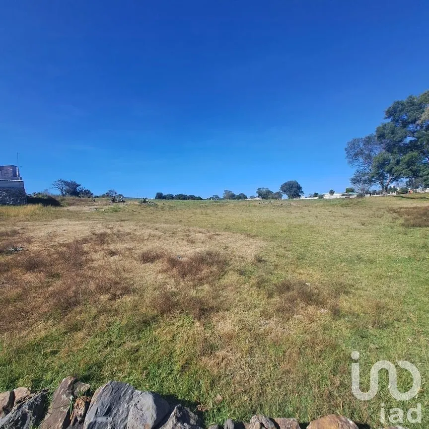 Terreno en Venta en El Xhitey, Jilotepec, México | NEX-241194 | iad México | Foto 5 de 14