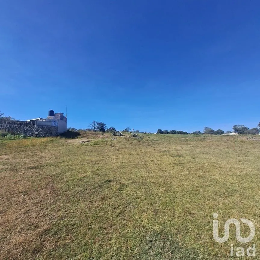 Terreno en Venta en El Xhitey, Jilotepec, México | NEX-241194 | iad México | Foto 6 de 14