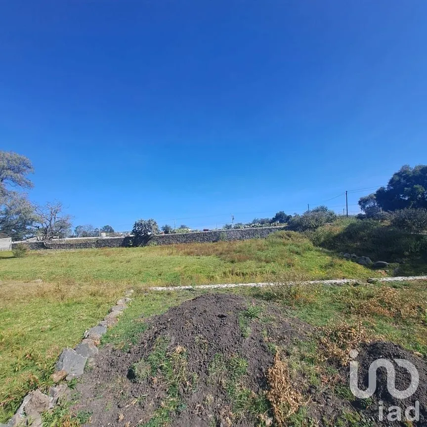 Terreno en Venta en El Xhitey, Jilotepec, México | NEX-241194 | iad México | Foto 8 de 14