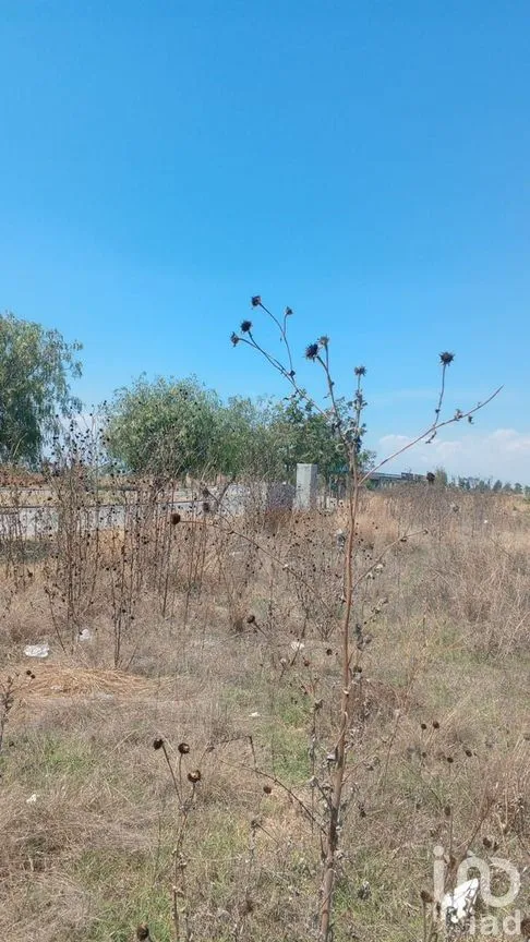 Terreno en Venta en San Antonio Cacalotepec, San Andrés Cholula, Puebla | NEX-243887 | iad México | Foto 13 de 16