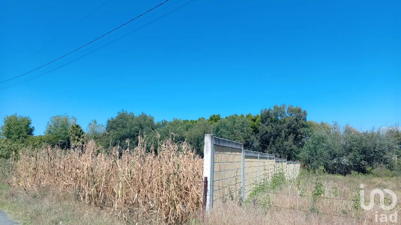 Terreno en Venta en San Bernardino Tlaxcalancingo, San Andrés Cholula, Puebla | NEX-243887 | iad México | Foto 23 de 24