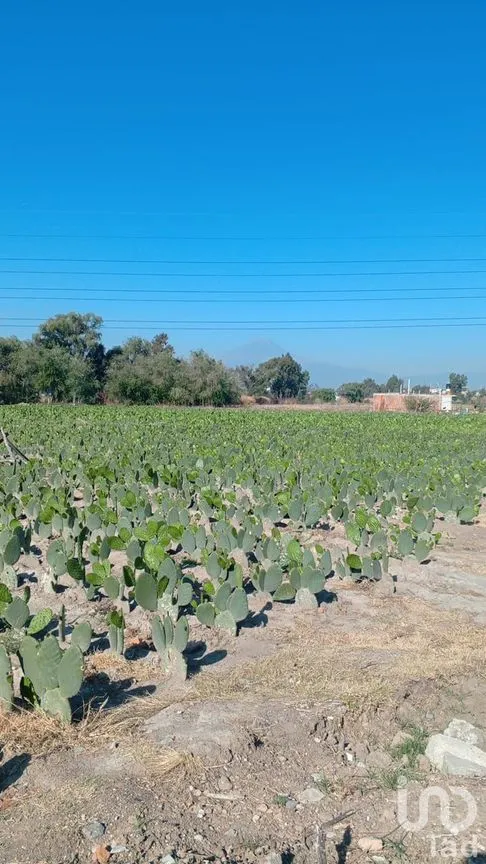 Terreno en Venta en San Antonio Cacalotepec, San Andrés Cholula, Puebla | NEX-245705 | iad México | Foto 1 de 9