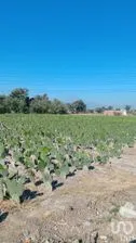 NEX-245705 - Terreno en Venta.