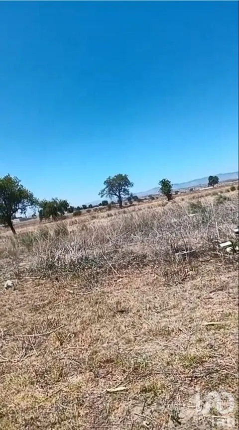 Terreno en Venta en Ignacio Zaragoza, Rafael Lara Grajales, Puebla | NEX-247406 | iad México | Foto 11 de 12