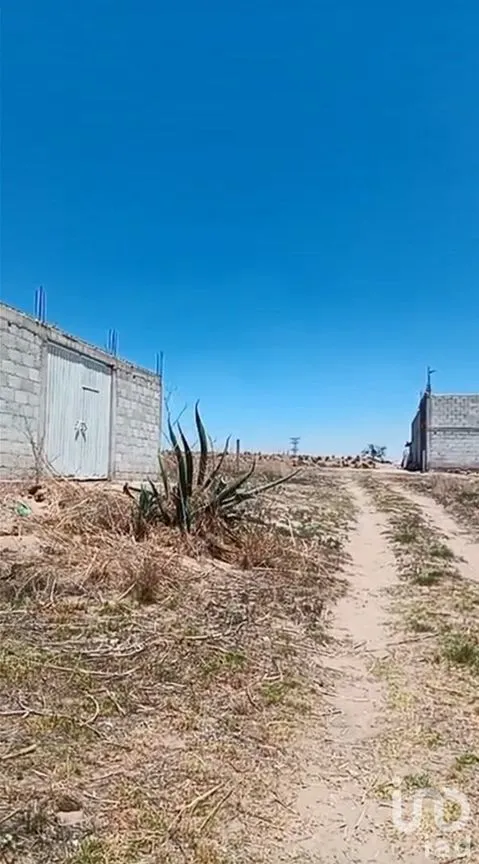 Terreno en Venta en Ignacio Zaragoza, Rafael Lara Grajales, Puebla | NEX-247406 | iad México | Foto 9 de 12
