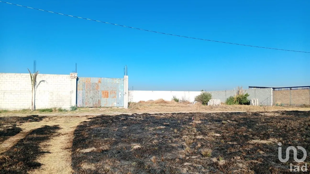 Terreno en Venta en Del Campo, Tepeaca, Puebla | NEX-247406 | iad México | Foto 11 de 16