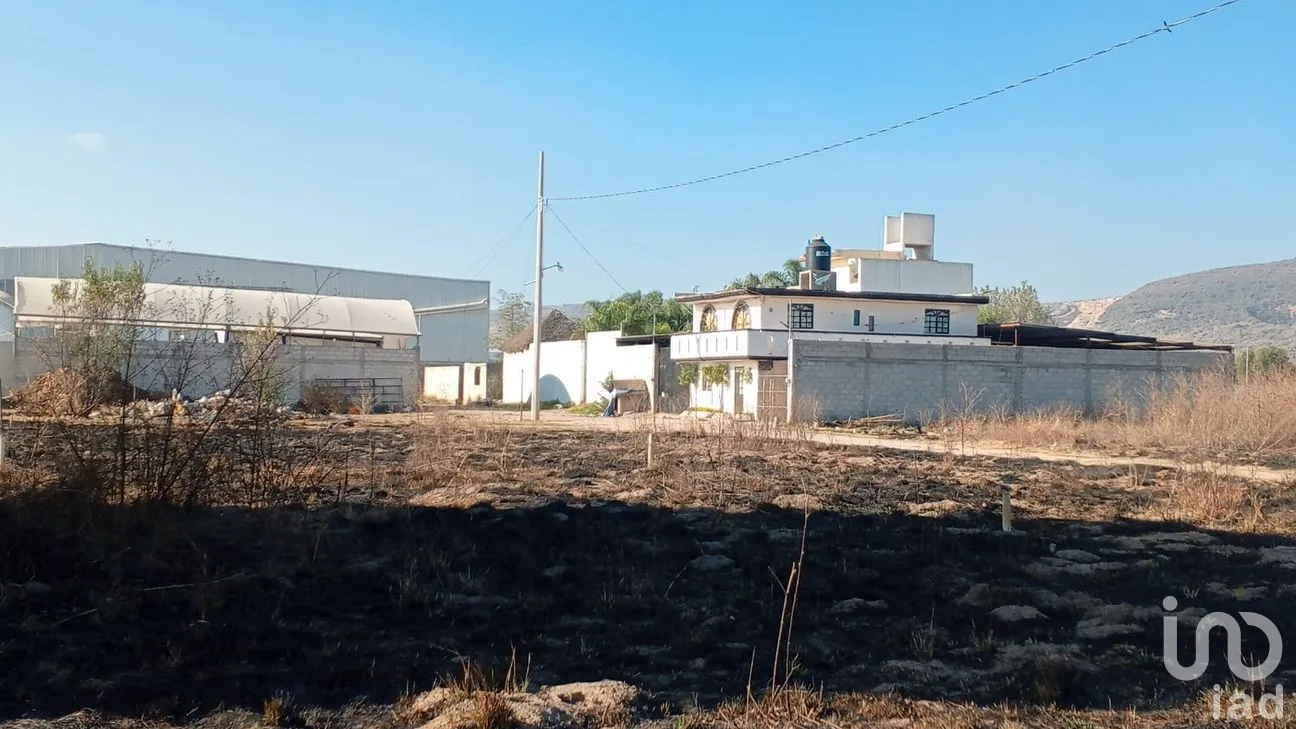 Terreno en Venta en Del Campo, Tepeaca, Puebla | NEX-247406 | iad México | Foto 12 de 16