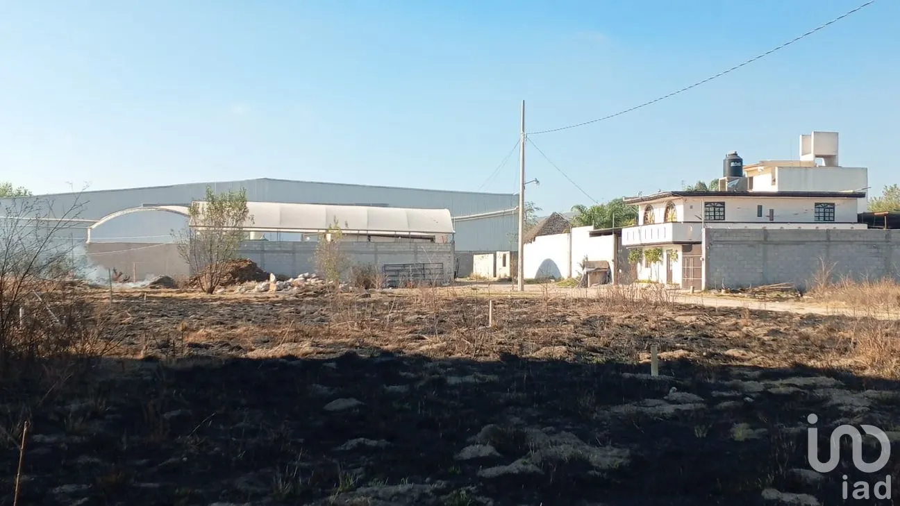 Terreno en Venta en Del Campo, Tepeaca, Puebla | NEX-247406 | iad México | Foto 3 de 16